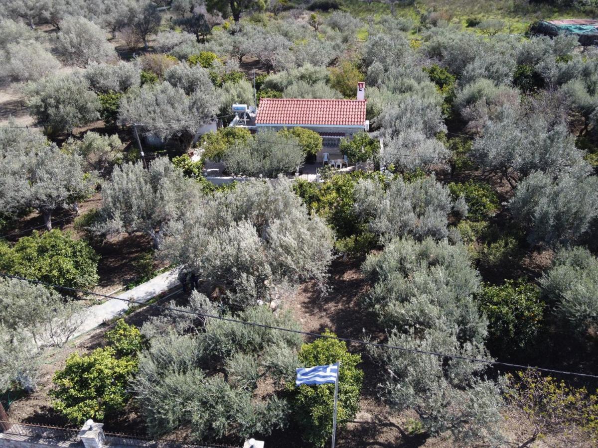 Villa Kavalino Kolymbia Bagian luar foto
