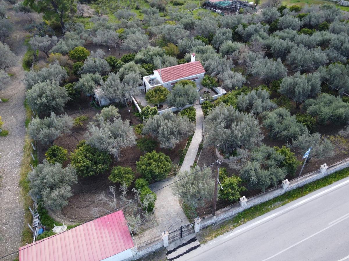 Villa Kavalino Kolymbia Bagian luar foto